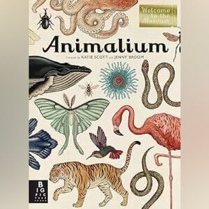 Welcome to the Museum: Animalium by Katie Scott and Jenny Broom